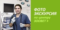 Фотогалерея