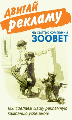 ������� ������������� ������ ������