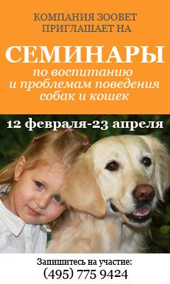 �������� �� ���������� � ��������� ��������� ����� � �����