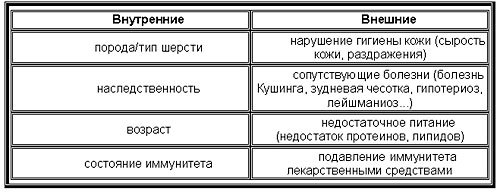 системы раздельного питания американского диетолога г шелтона