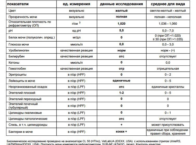 Сделать анализ мочи домашних условиях Сделать анализ мочи домашних условиях