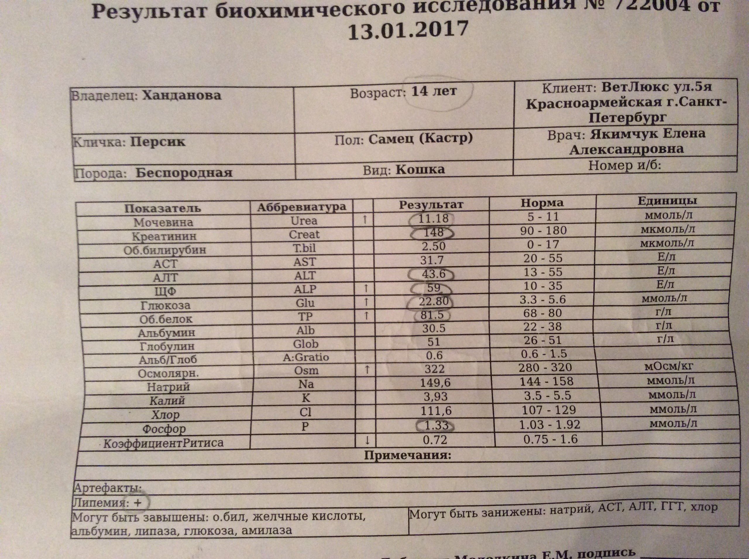 Аст. алт у беременных 87