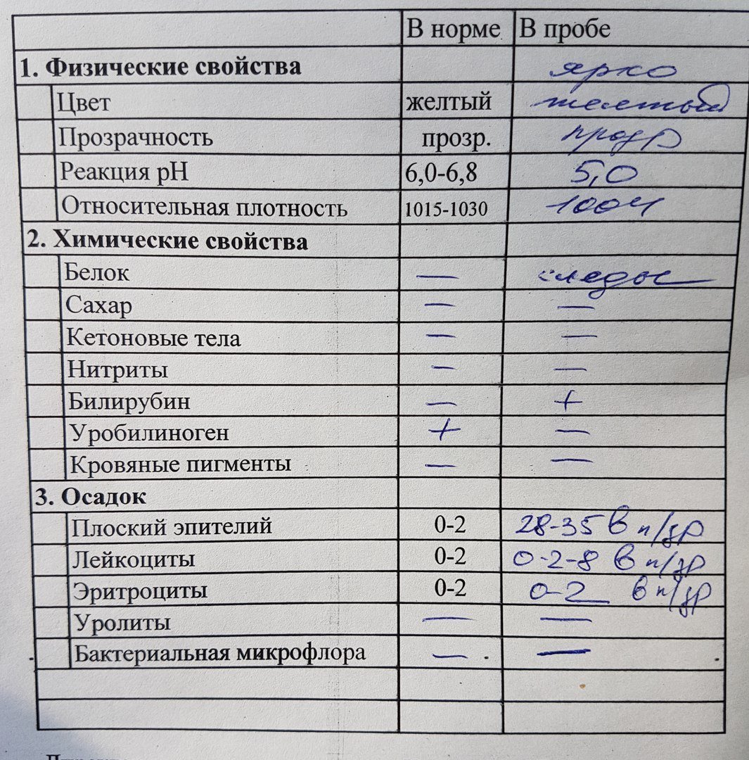 Нормальный анализ мочи для беременной 98