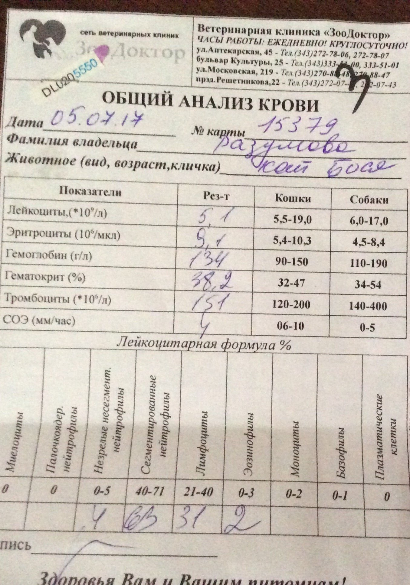 Лейкоциты в моче у беременных 25 63