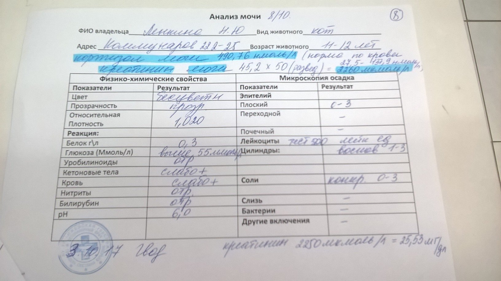 Экспресс-анализ мочи в домашних условиях (медицинская энциклопедия) Улучшаем наши анализы мочи