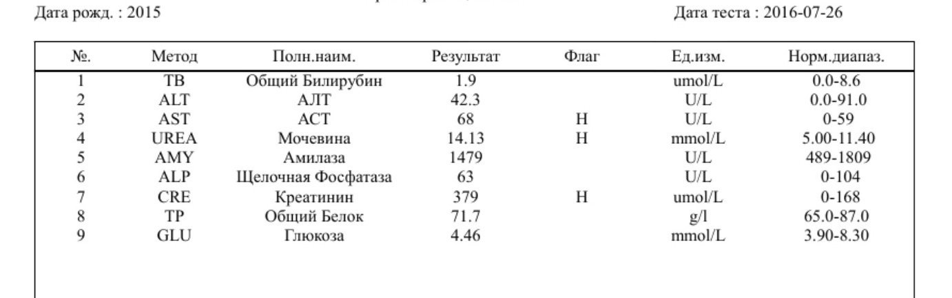 Раствор Рингера-Локка. Инструкция По Применению.Doc - coachingdannie