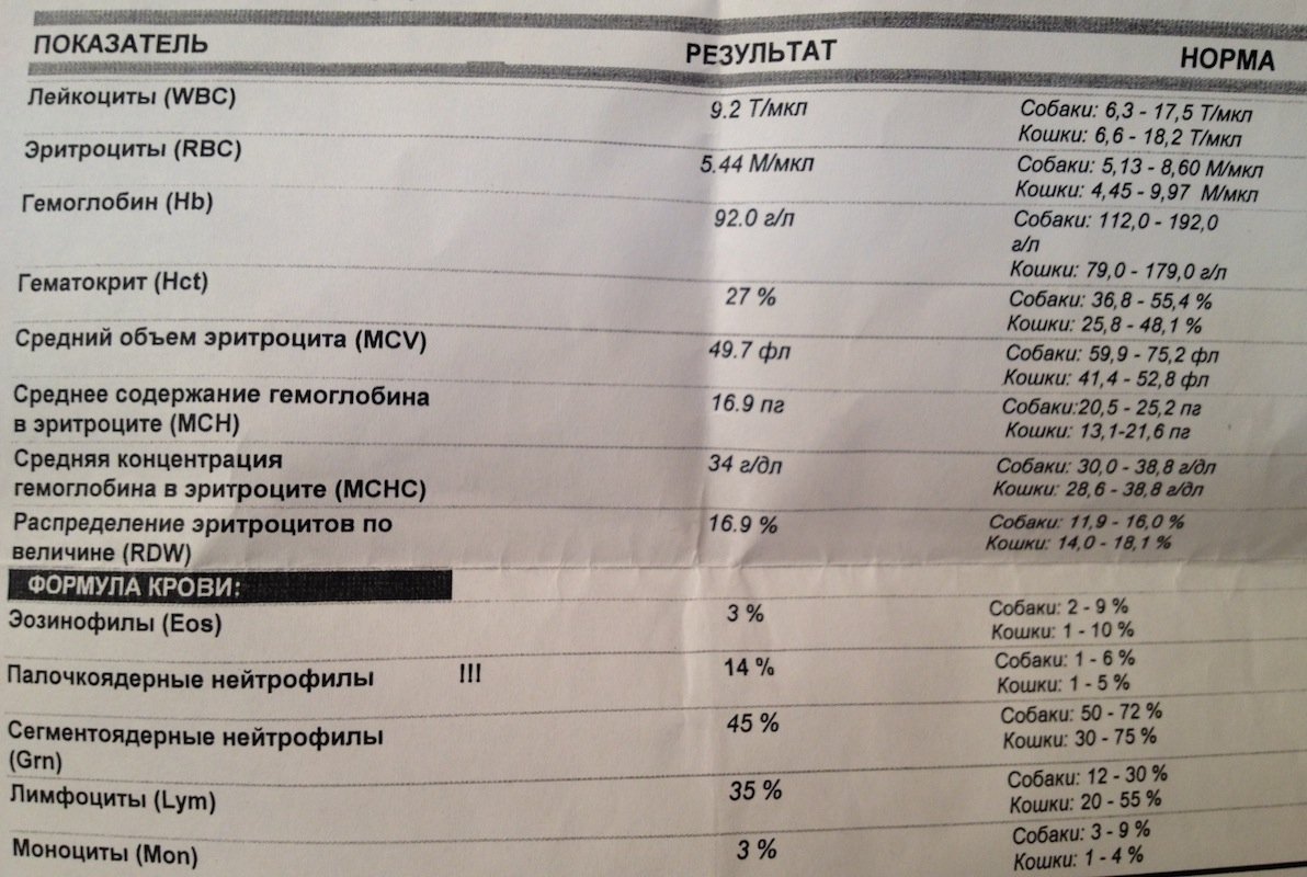 Уровень тромбоцитов норма у беременных 19