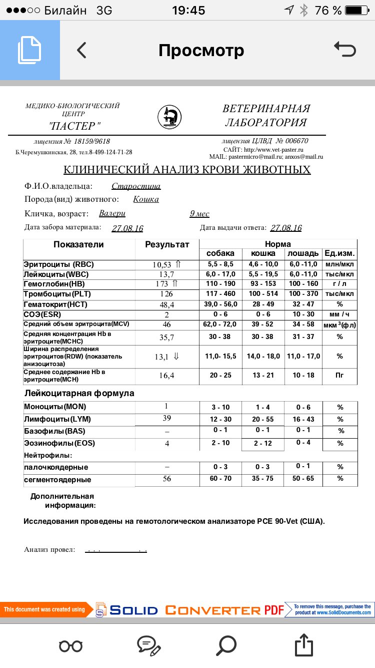 Вязание для мужчин спицами полуверы с о Вязание для мужчин спицами полуверы с о