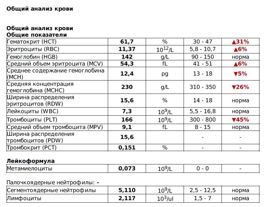 Схема общий анализ крови Схема общий анализ крови