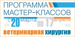 ������ - ������. ������������ ��������