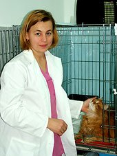 Услуги ветеринарного центра ЗООВЕТ
