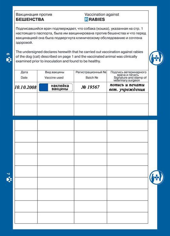 Паспорт для собаки скачать образец