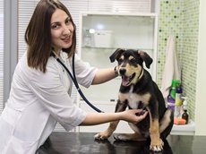 Ветеринарный центр Зоовет