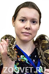 Лечение рептилий. Специалист по экзотическим животным