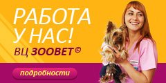 Работа для ветеринаров