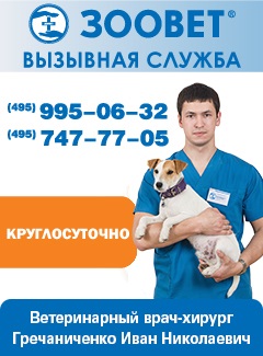 ������ ������������ ������ ������