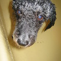 ������� �� ����� ������� ������� ������