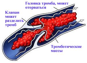 ежедневная диета для мужчин