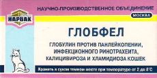 Глобфел