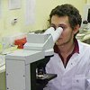 Опеределение оптимального времени вязки - новая услуга лаборатории центра ЗООВЕТ