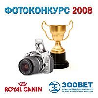 Фотоконкурс 2008 начался!