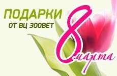 ������� ������������ ������� ������
