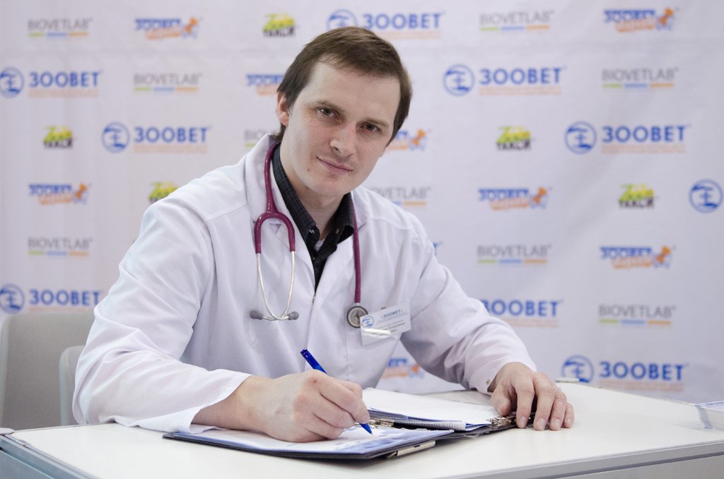 Выставка ИнфоКот 2012