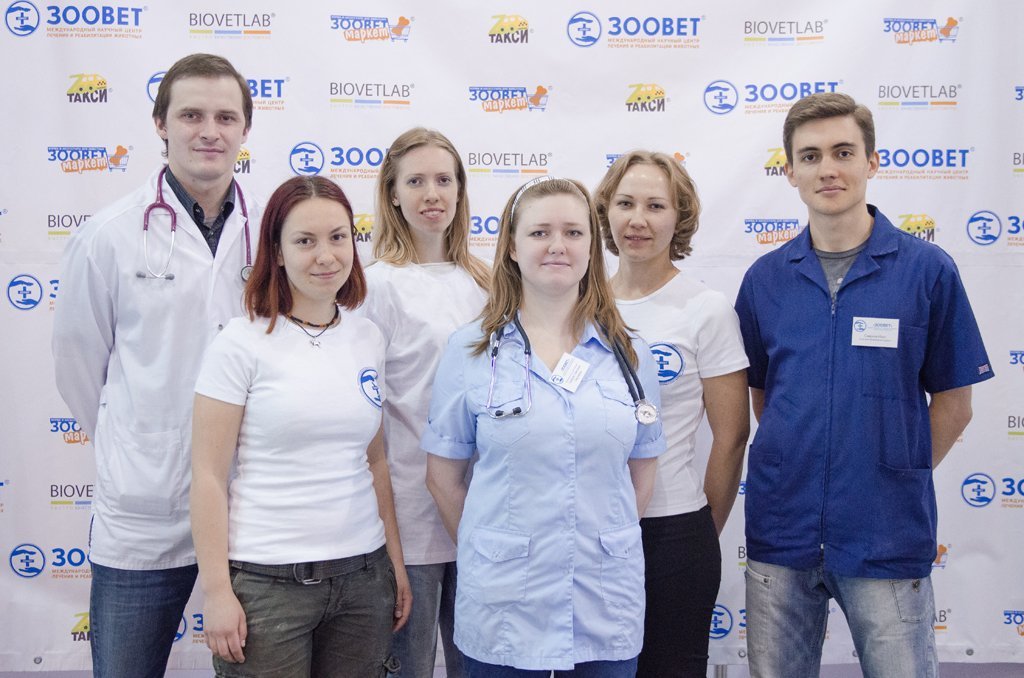  ИнфоКот 2012