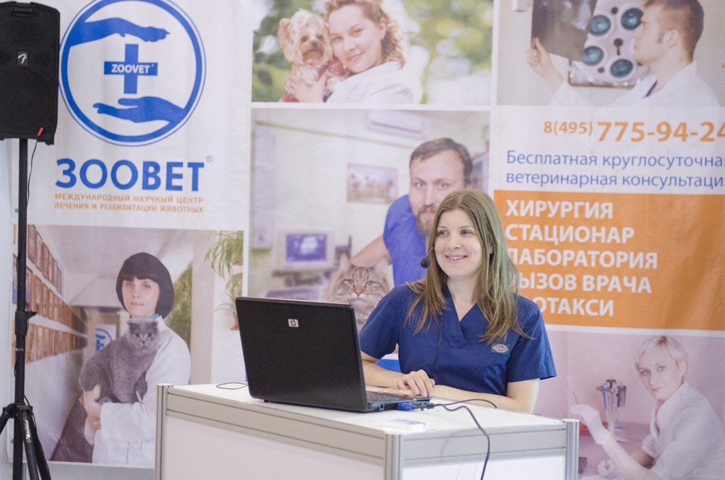 Выставка ИнфоКот 2012