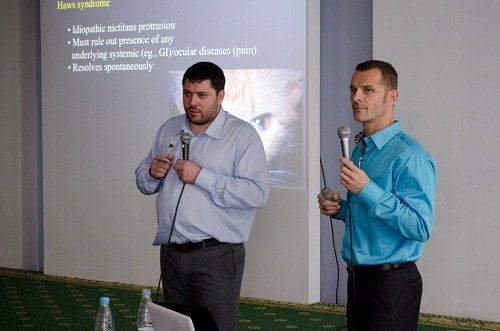 Константиновский Александр Андреевич