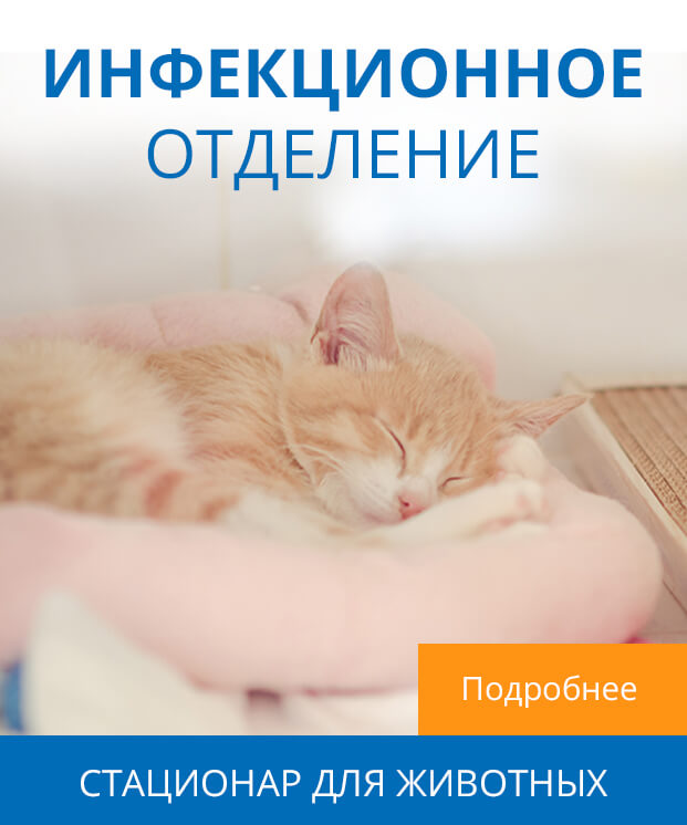 форма справки 182 н образец