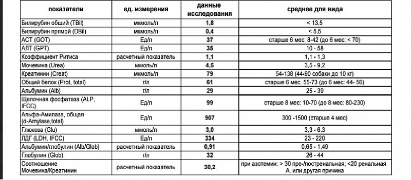 Диета При Крови В Кале