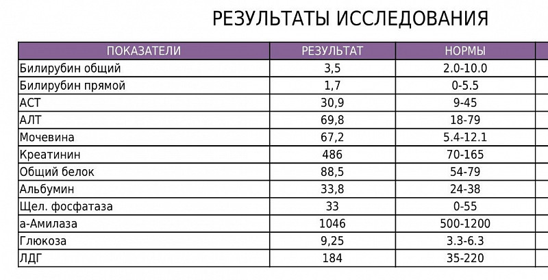 Белковая Диета Повышен Креатинин Мочевина Холестерин