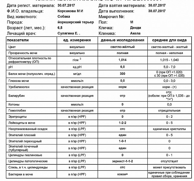 Уровень Кетонов В Моче При Кето Диете