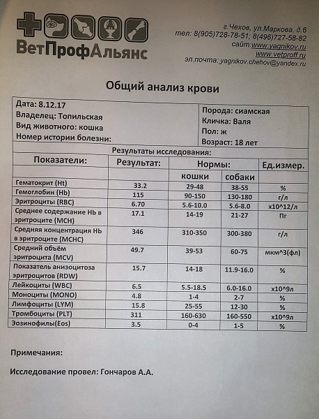 Почечная Недостаточность У Кошек Диета Чем Кормить