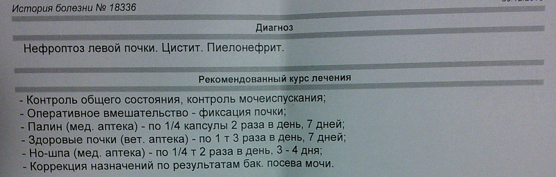 Диета При Нефроптозе Правой Почки