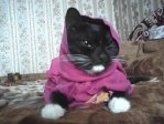 Вот ещё Маська)))Зацените))