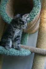������� ���� ���<br />
���������
