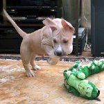 ������ ����� ��� ����� - ��� ������ ���� ��� � ������� ����� ����� .