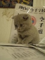 � ��� ����������� �� �������� ����)) ( ��������� �����)