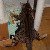 ����� ���� - ������,   � ���� - ������...