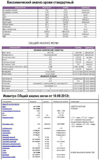 биохимия крови нормы инвитро. инвитро общая биохимия. инвитро общая биохимия. биохимический анализ крови норма инвитро. биохимический анализ крови норма инвитро.