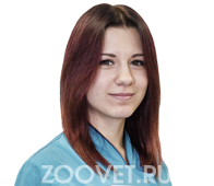 102ec4d20fea8488000b288f24065255 зоовет ветклиника телефон на магистральной