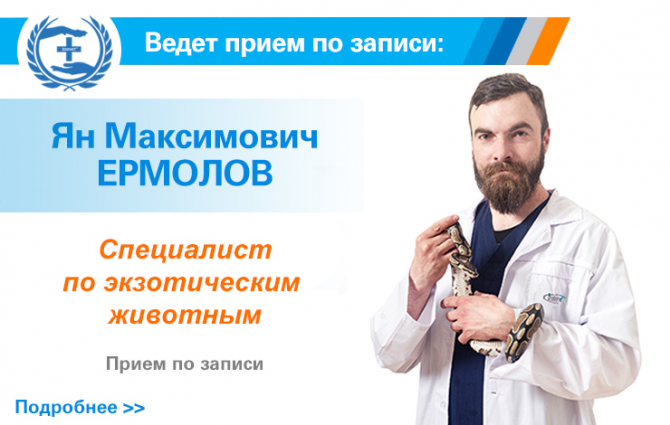 Прием специалиста по экзотическим животным Яна Максимовича Ермолова в ВЦ "ЗООВЕТ"