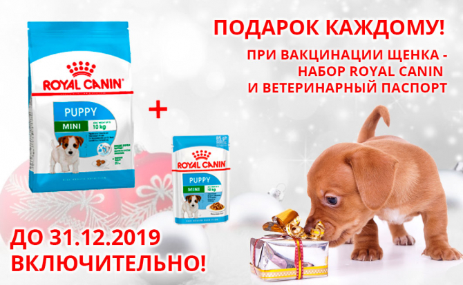 Подарок при вакцинации!