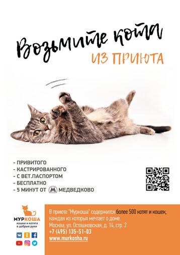 Ассистента Ассистента