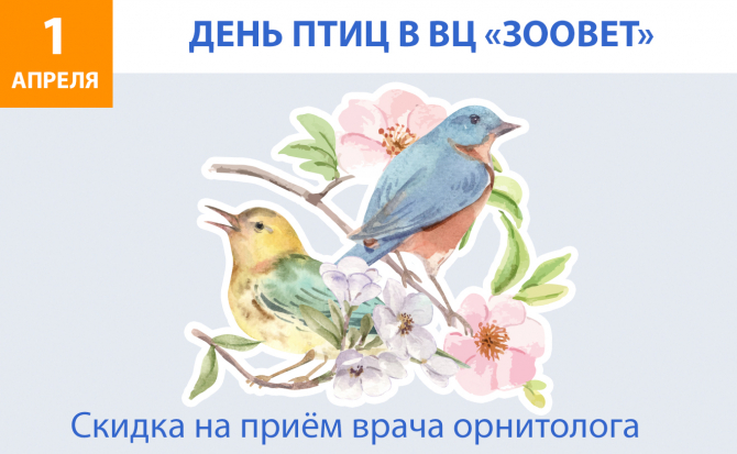 1 апреля - День птиц!