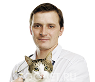 ВЛАДИМИРОВ Владимир Анатольевич