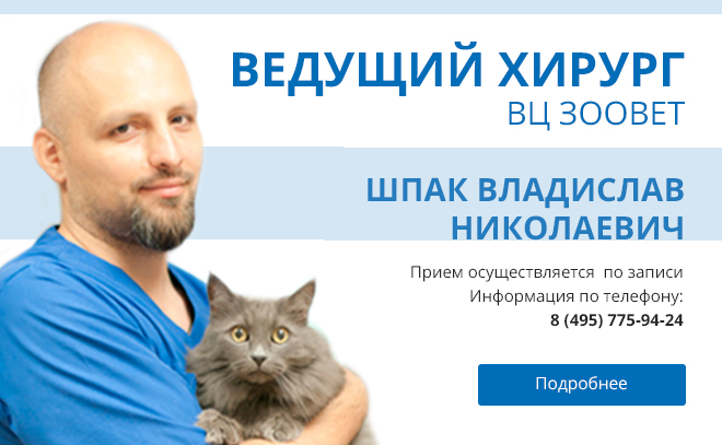 Шпак Владислав Николаевич ветеринар