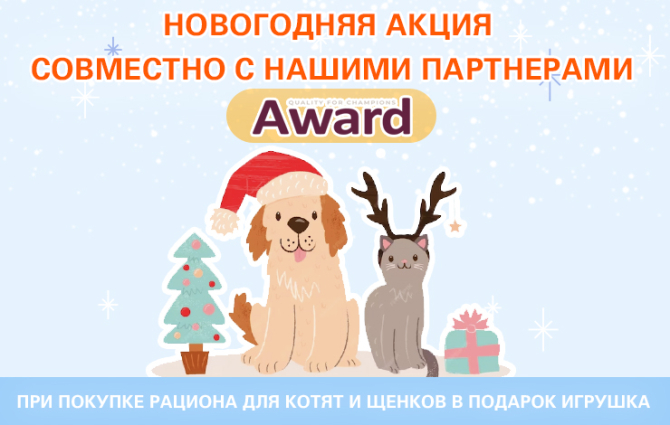 Новогодняя акция совместно с нашими партнерами AWARD